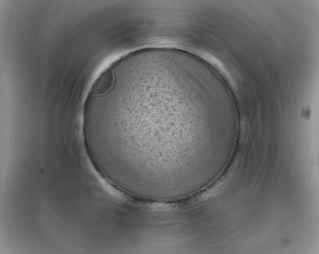 X0000097621424200803141952