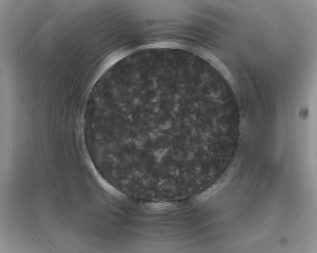 X0000097621425200803141952