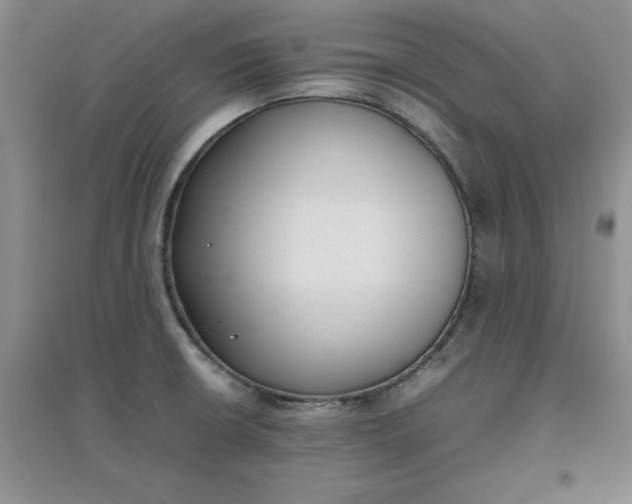 X0000097621426200803141952