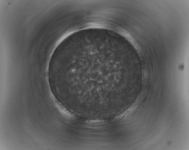 X0000097621427200803141952