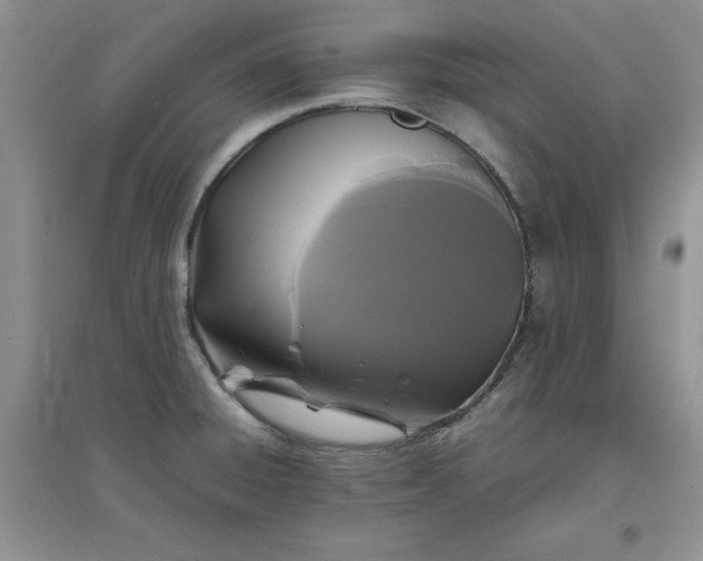 X0000097621428200803141952
