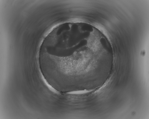 X0000097621429200803141952