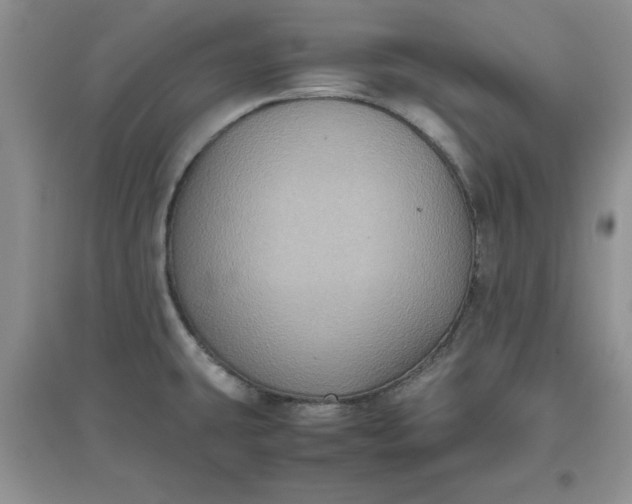 X0000097621431200803141952