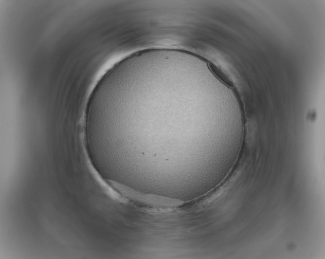 X0000097621432200803141952