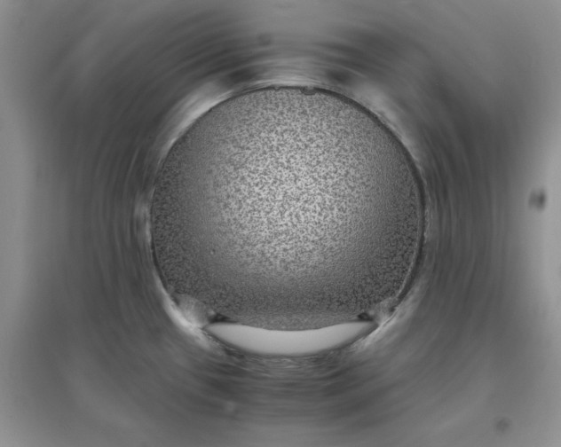 X0000097621433200803141952