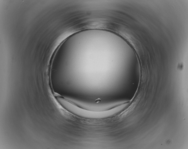 X0000097621434200803141952
