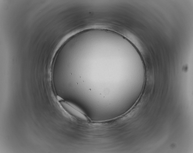 X0000097621436200803141952