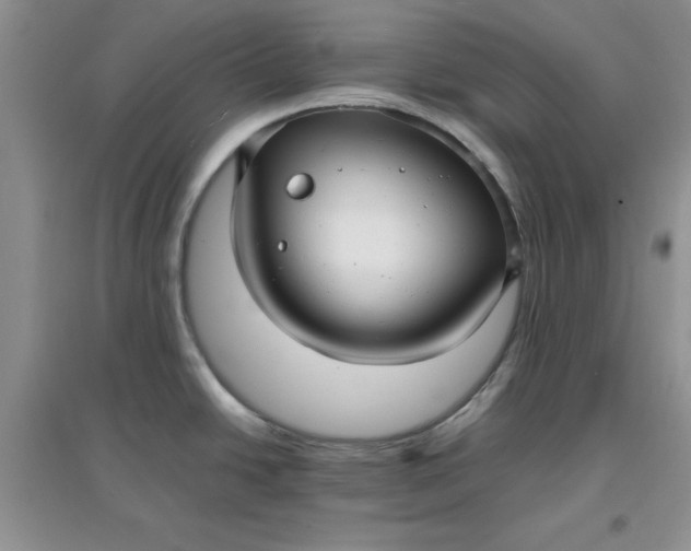 X0000097621438200803141952