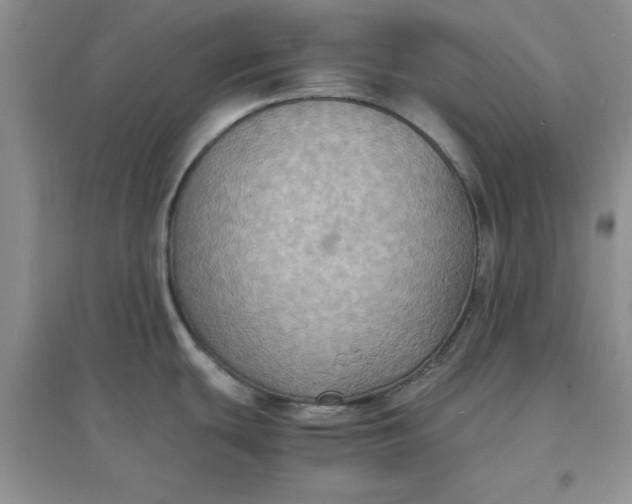 X0000097621439200803141952