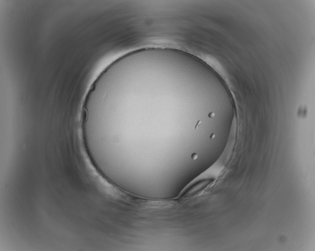 X0000097621440200803141952