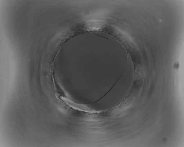 X0000097621441200803141951