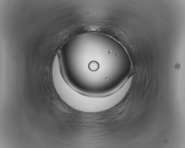 X0000097621442200803141951