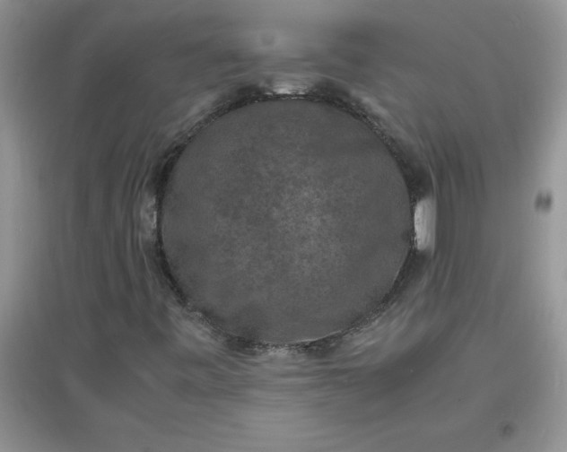 X0000097621443200803141951