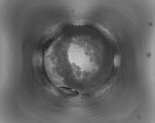 X0000097621444200803141951