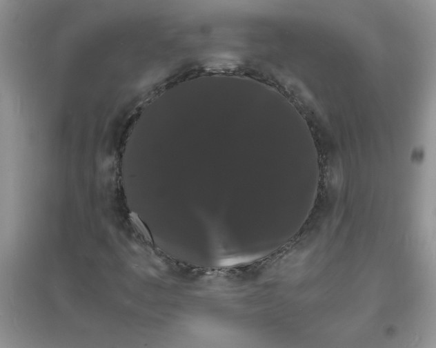 X0000097621445200803141951
