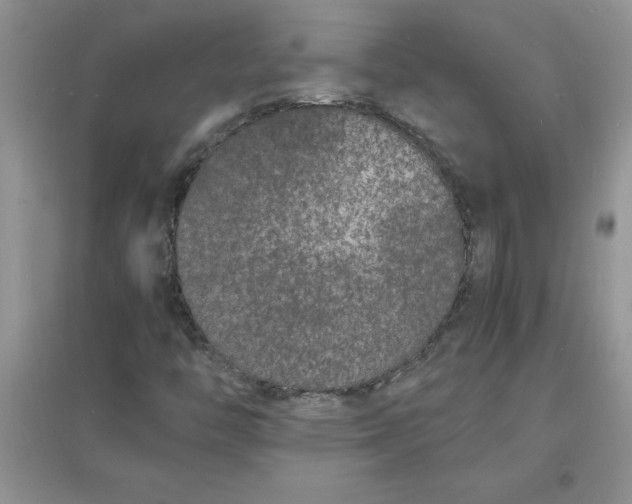 X0000097621446200803141951