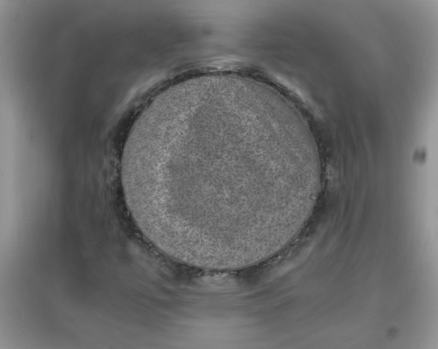 X0000097621447200803141951