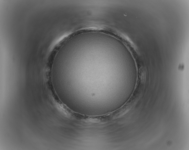 X0000097621448200803141951