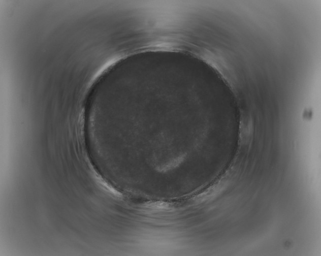 X0000097621450200803141951