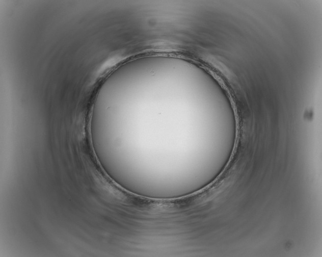 X0000097621451200803141951