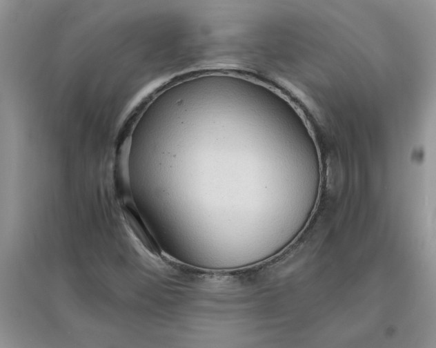 X0000097621452200803141951