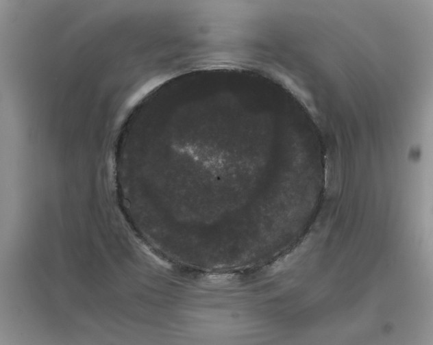 X0000097621453200803141951