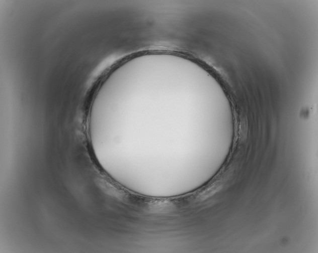 X0000097621454200803141951