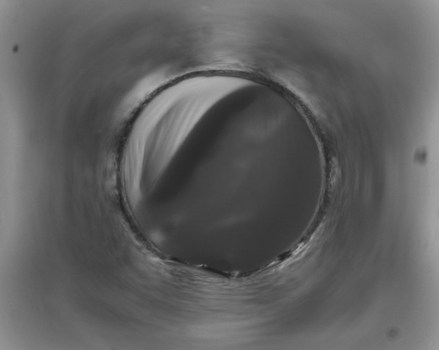 X0000097621455200803141951