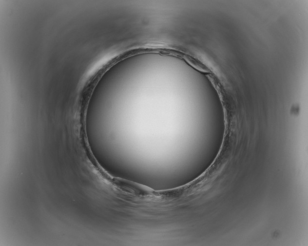 X0000097621456200803141951