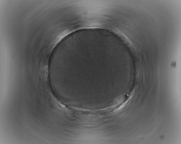 X0000097621457200803141951