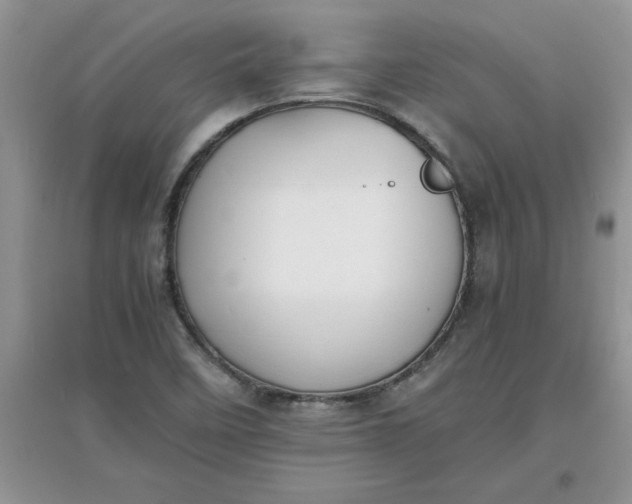 X0000097621458200803141951