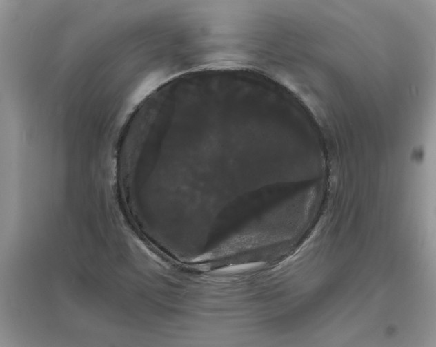 X0000097621459200803141951