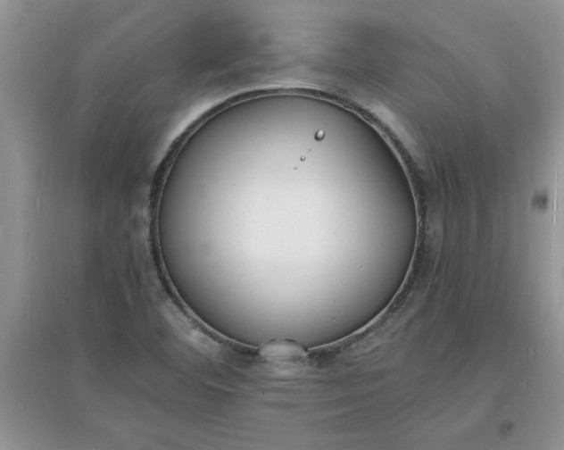 X0000097621460200803141951