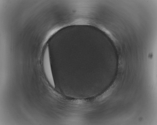 X0000097621461200803141951