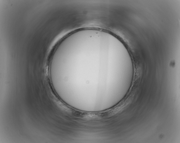 X0000097621462200803141951