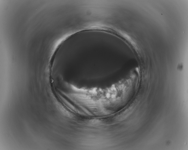 X0000097621463200803141951