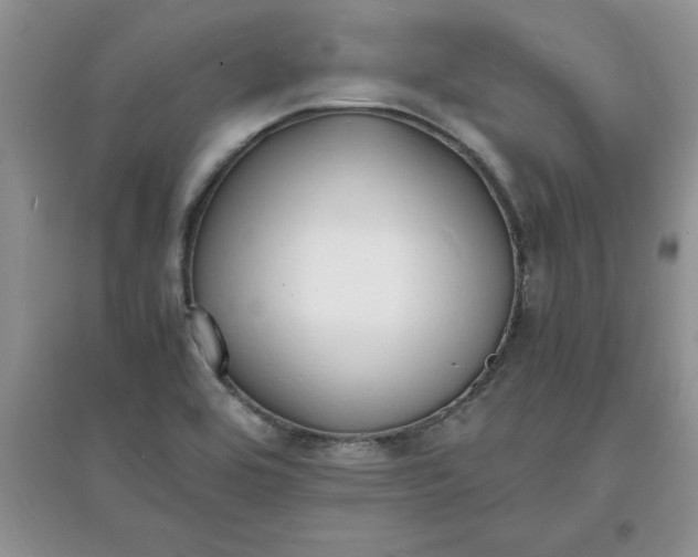 X0000097621464200803141951