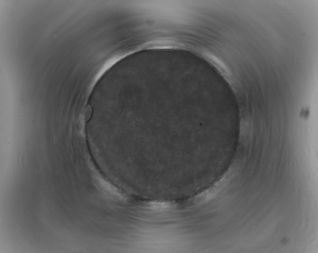 X0000097621465200803141951