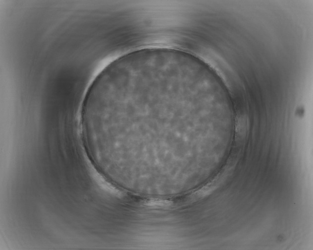 X0000097621466200803141951