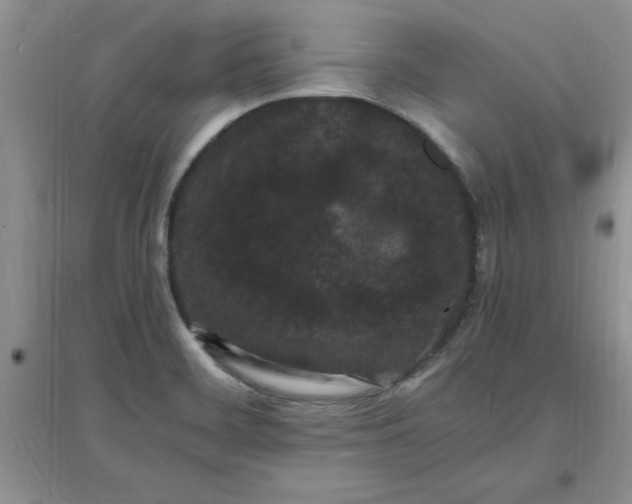 X0000097621468200803141951