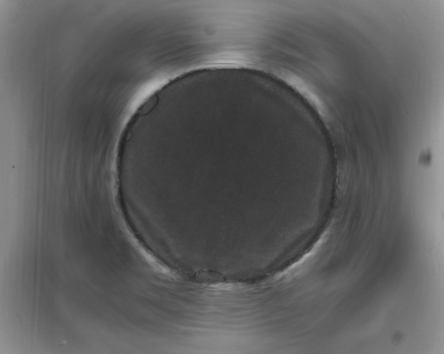 X0000097621469200803141951