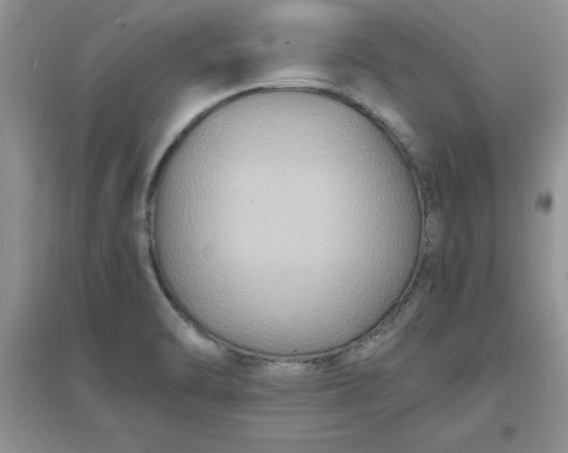X0000097621470200803141951