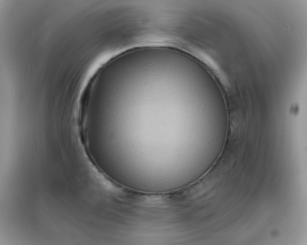 X0000097621472200803141951