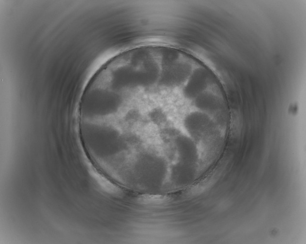 X0000097621474200803141951