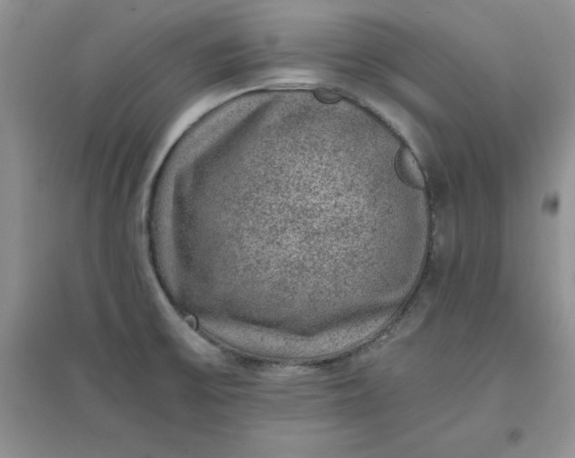 X0000097621475200803141951