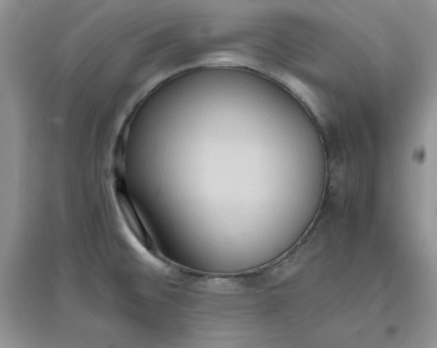 X0000097621476200803141951