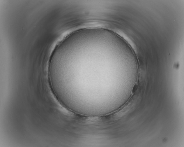 X0000097621477200803141951
