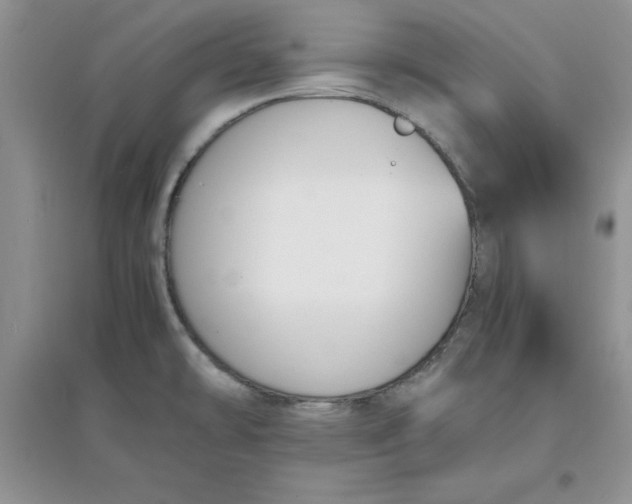 X0000097621478200803141951