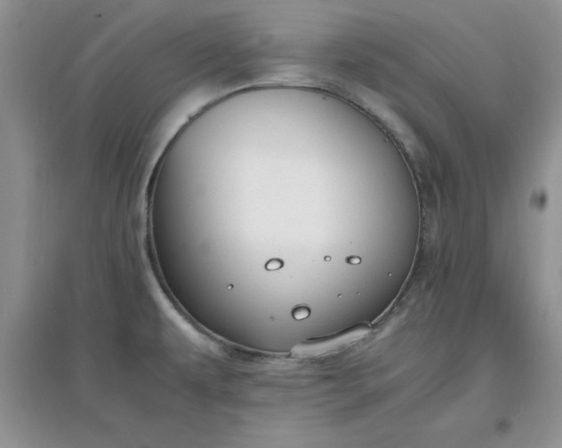 X0000097621479200803141951