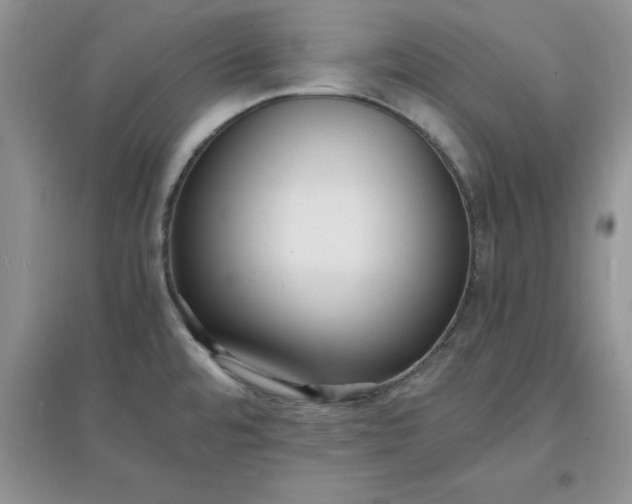X0000097621480200803141951